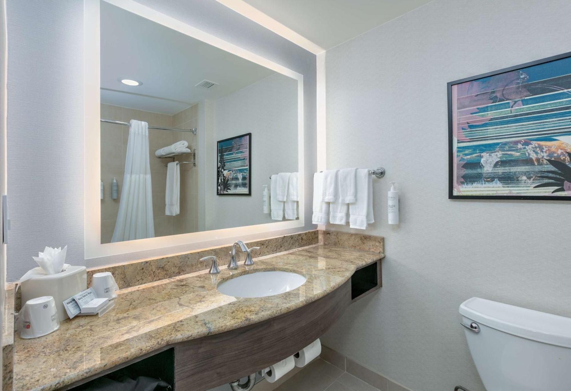 Hilton Garden Inn Dallas Arlington Dış mekan fotoğraf